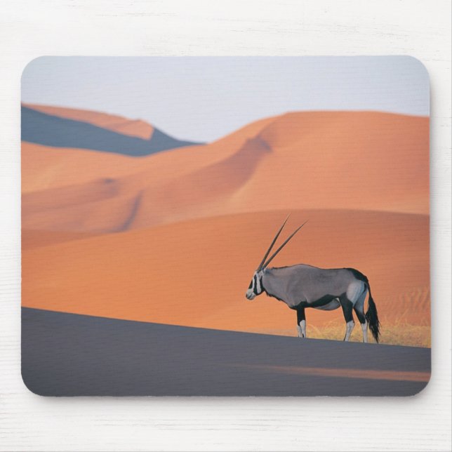 Mousepad Um antílope de oryx solitário. (Frente)