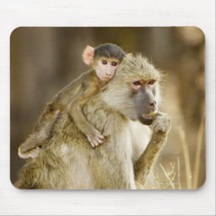 Mousepad Um babuíno amarelo infantil (Papio