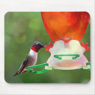 Mousepad Um beija-flor robusto