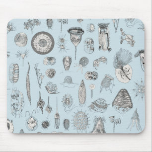 Mousepad Um bestiário dos Protozoa