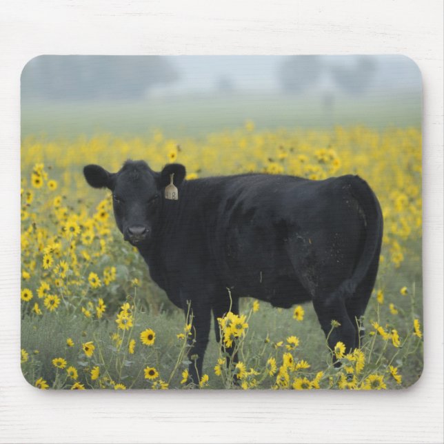 Mousepad Um bezerro entre os girassóis de Nebraska (Frente)