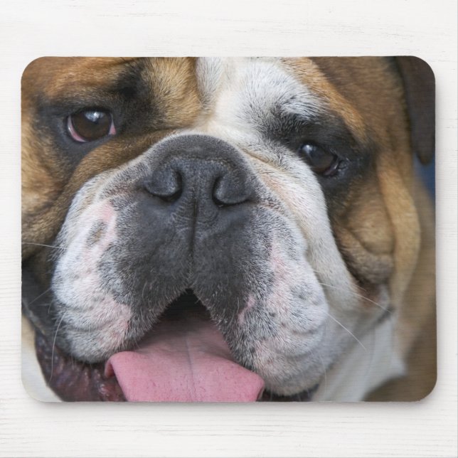 Mousepad Um bulldog inglês na Bélgica. (Frente)