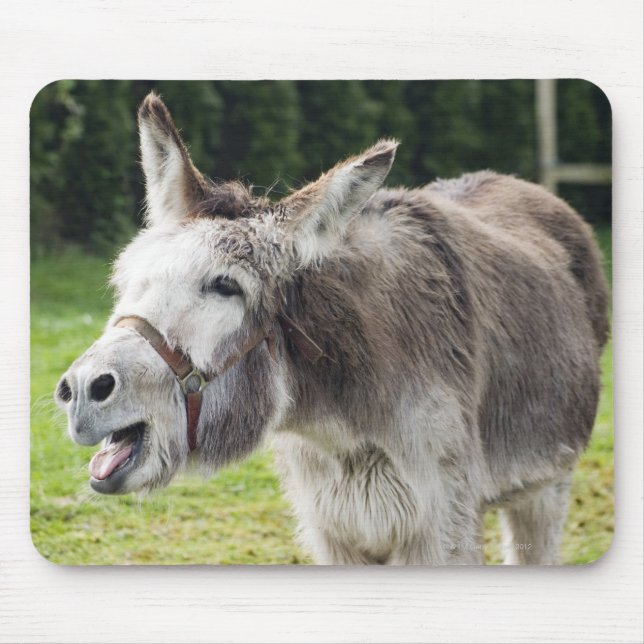 Mousepad Um burro (Frente)