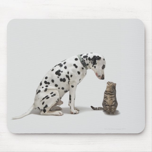 Mousepad Um cachorro olhando um gato (Frente)