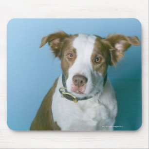 Mousepad Um cão