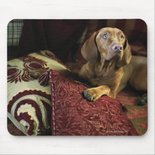 Mousepad Um cão que encontra-se em descansos