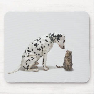Mousepad Um cão que olha um gato