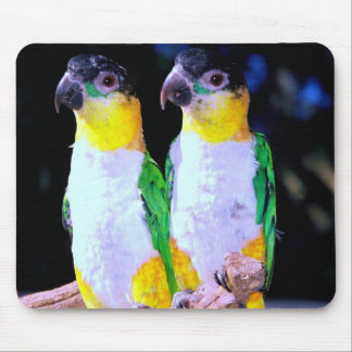 Mousepad Um casal feliz