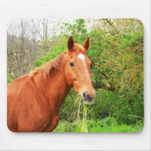 Mousepad Um cavalo chamado Orion