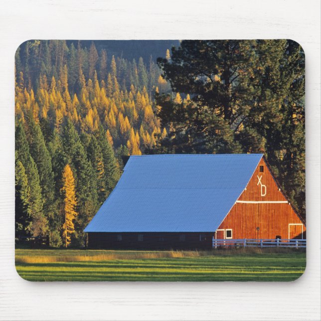 Mousepad Um celeiro vermelho cultivado construiu em 1911 (Frente)