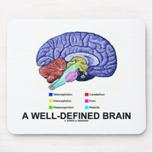 Mousepad Um cérebro bem definido (humor anatômico do