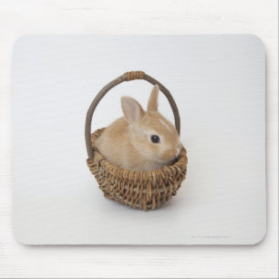 Mousepad Um coelho está em uma cesta. Anão de Netherland