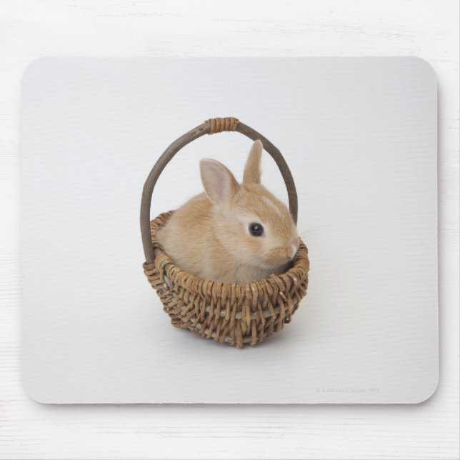 Mousepad Um coelho está numa cesta. (Frente)