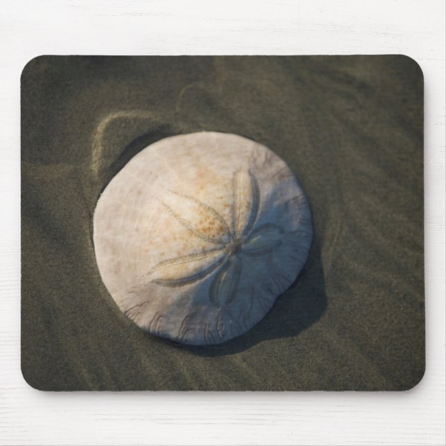Mousepad Um dólar de areia na praia (Frente)