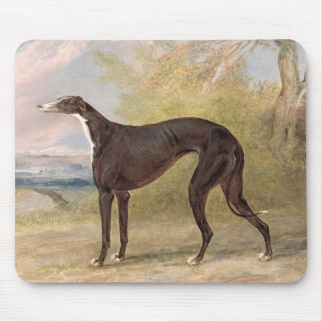 Mousepad Um dos galgos de vencimento do Fox da pista de (Frente)