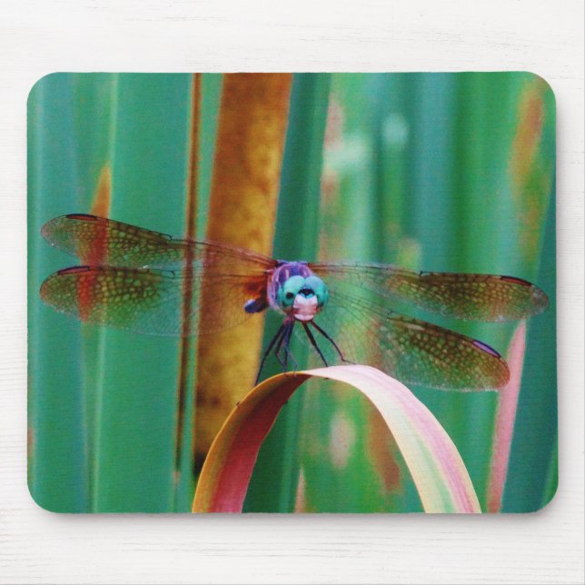 Mousepad Um Dragonfly de Olhos Vermelhos com cattails (Frente)
