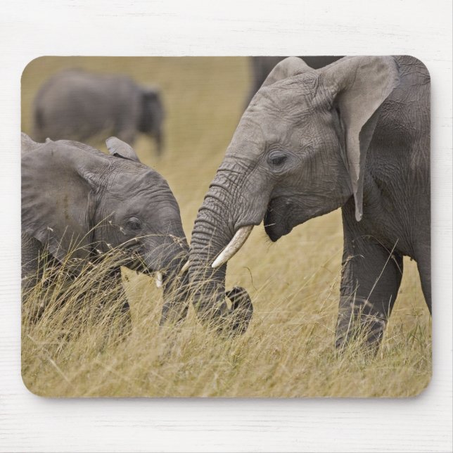 Mousepad Um elefante africano pastando nos campos (Frente)