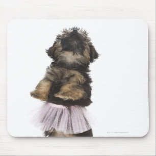 Mousepad Um filhote de cachorro de Yorkie-poo em um tutu em