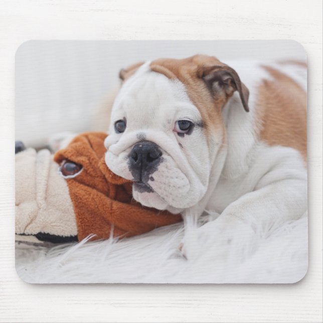 Mousepad Um filhote de cachorro inglês do buldogue que joga (Frente)