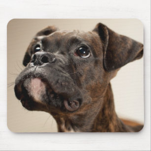 Mousepad Um filhote de cachorro rajado do pugilista que
