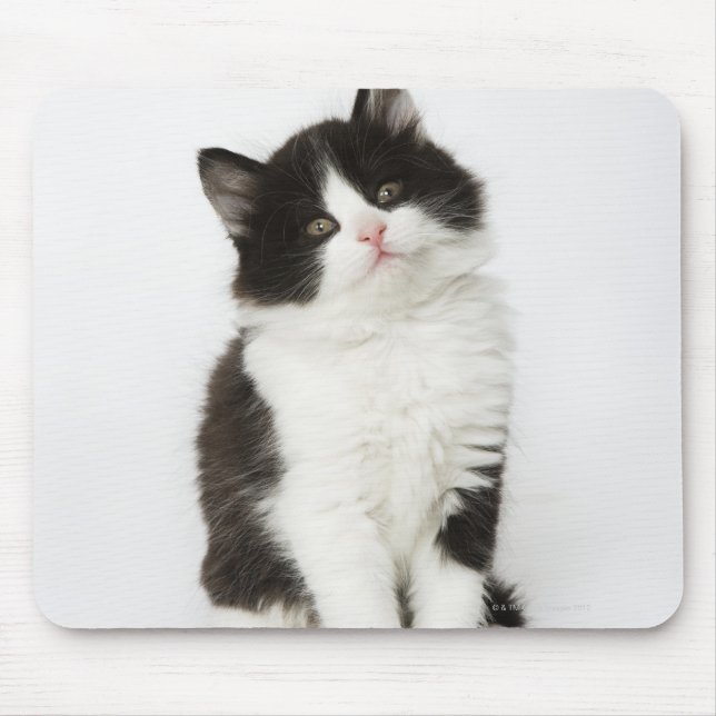 Mousepad Um gatinho jovem sentado olhando para a câmera (Frente)