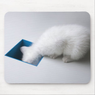 Mousepad Um gatinho novo estica sua cabeça abaixo de um