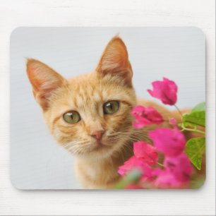 Mousepad Um gatinho vermelho bonito está te vigiando.