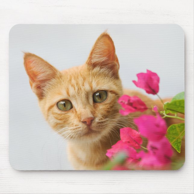 Mousepad Um gatinho vermelho bonito está te vigiando. (Frente)