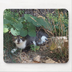 Mousepad Um gato escondido