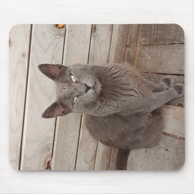 Mousepad Um gato nobre de Cinza (Frente)