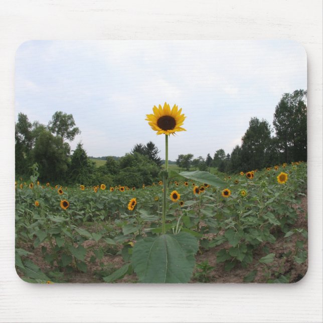 Mousepad um girassol alto (Frente)