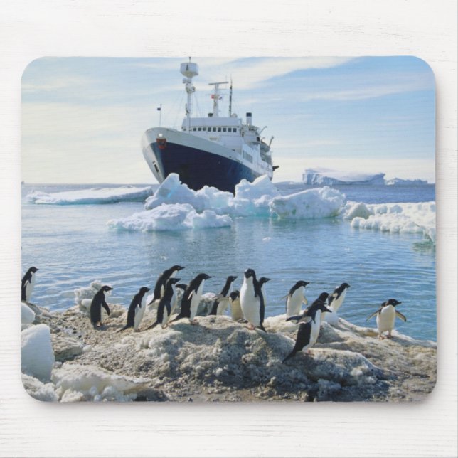 Mousepad Um grupo de pinguins que estão em uma praia gelada (Frente)