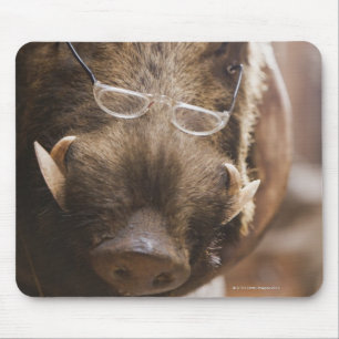 Mousepad um javali enchido que veste vidros fora da