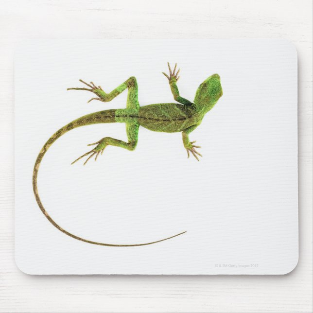 Mousepad Um lagarto no chão branco puro (Frente)
