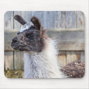 Mousepad Um lama feliz