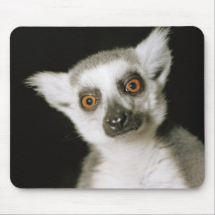 Mousepad Um lemur.