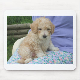 Mousepad Um lindo cãozinho de cavapoo olhando seu caminho,
