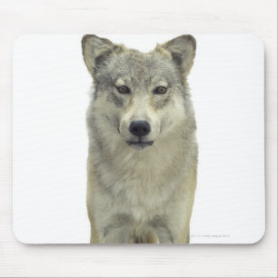 Mousepad Um lobo