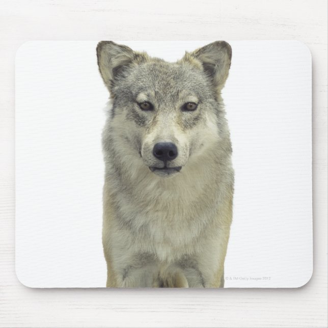 Mousepad Um lobo (Frente)