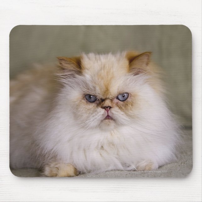 Mousepad Um louco, chateado, reclinando Flame Point Himalai (Frente)