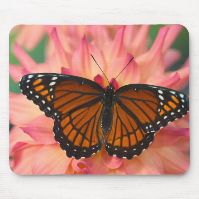 Mousepad Um Mimético da Borboleta Monarca (Frente)