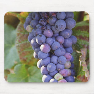 Mousepad Um monte de uvas Pinot Noir em um Chambertin