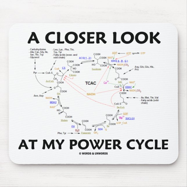 Mousepad Um olhar mais atento em meu ciclo do poder (ciclo (Frente)