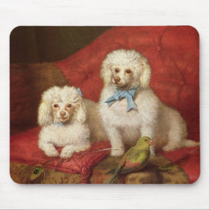 Mousepad Um par de caniches