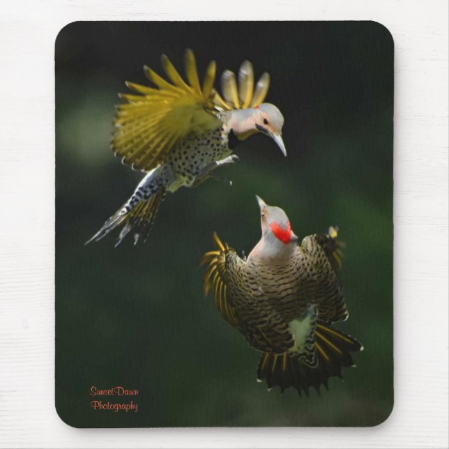 Mousepad Um par de Nortes (Frente)