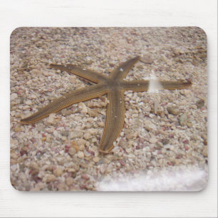 Mousepad Um rato de Starfish