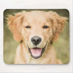 Mousepad Um retrato de um filhote de cachorro do golden