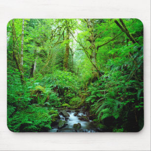 Mousepad Um riacho em uma floresta primária