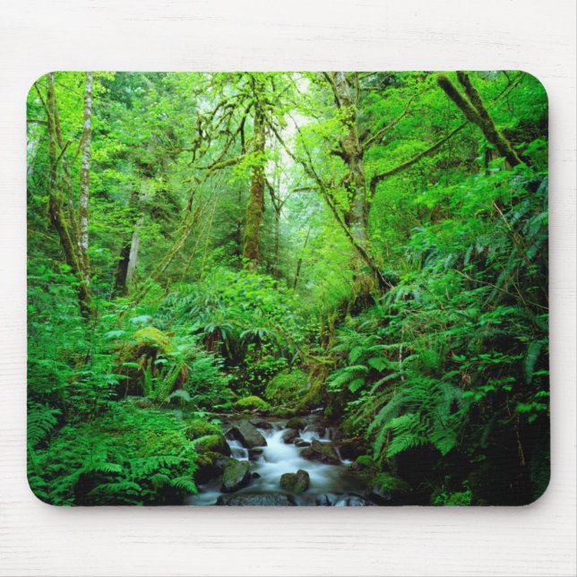 Mousepad Um riacho em uma floresta primária (Frente)