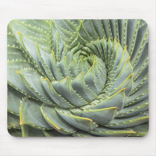 Mousepad Um Succulent verde & branco (Frente)